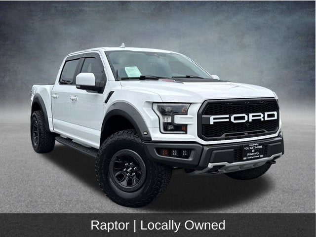 2019 Ford F-150 Raptor