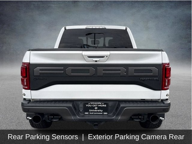 2019 Ford F-150 Raptor