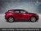 2024 Toyota Venza LE
