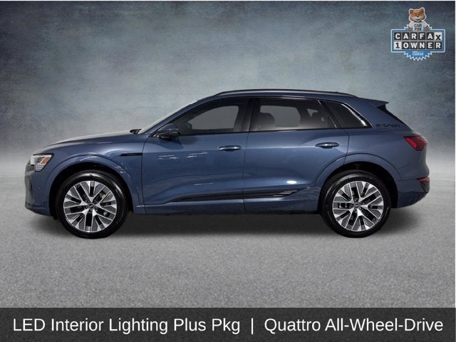 2024 Audi Q8 e-tron Prestige