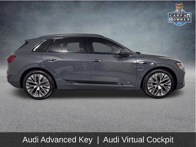2024 Audi Q8 e-tron Prestige