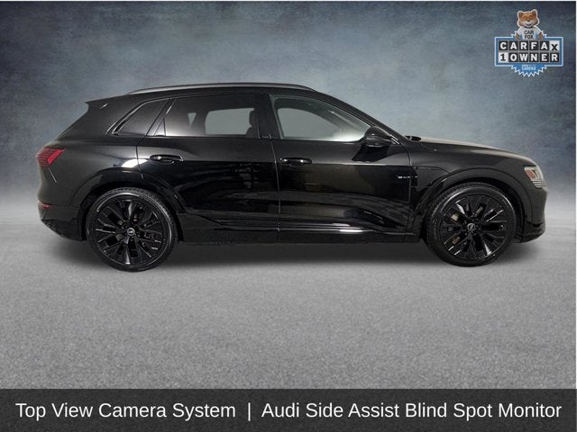 2024 Audi Q8 e-tron Prestige