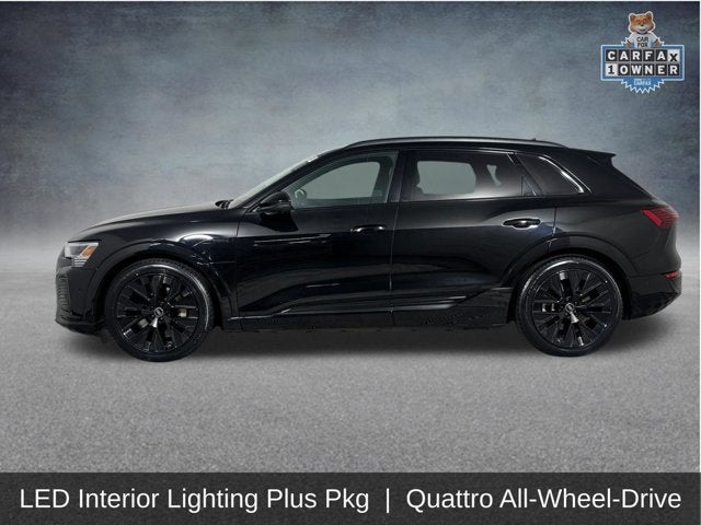 2024 Audi Q8 e-tron Prestige
