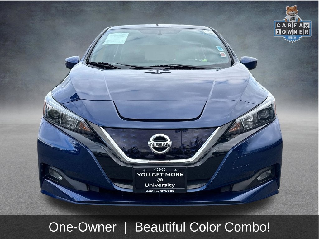 2019 Nissan Leaf SV Plus
