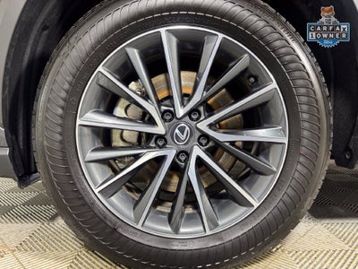 2025 Lexus NX 350h Premium
